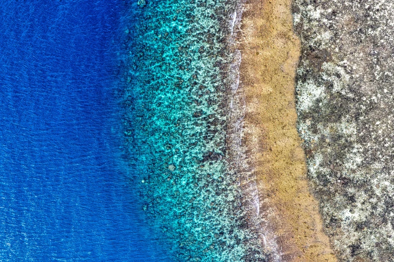 a large body of water next to a sandy beach, a photo, by Peter Churcher, unsplash, color field, coral sea bottom, high resolution details, bird\'s eye view, multicoloured