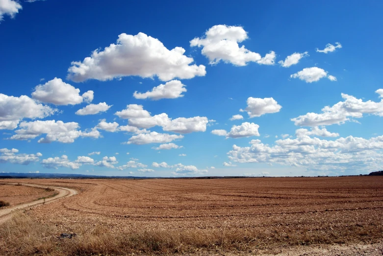 a dirt road in the middle of a field, unsplash, land art, big puffy clouds, desert and blue sky, wide open city ”, farms