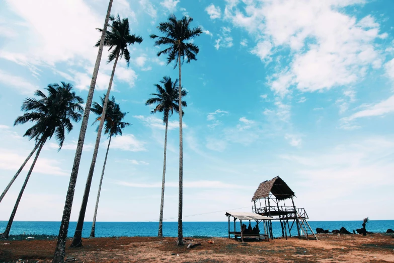 a hut sitting on top of a sandy beach next to palm trees, pexels contest winner, hurufiyya, brown and cyan blue color scheme, towering high up over your view, chocolate, 🦩🪐🐞👩🏻🦳