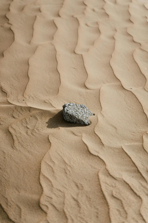 a rock sitting on top of a sandy beach, by Andries Stock, unsplash, minimalism, desert wind, 15081959 21121991 01012000 4k