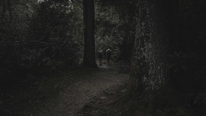 a person walking down a path in the woods, an album cover, by Elsa Bleda, australian tonalism, medium shot of two characters, in darkness, instagram post, hiking trail