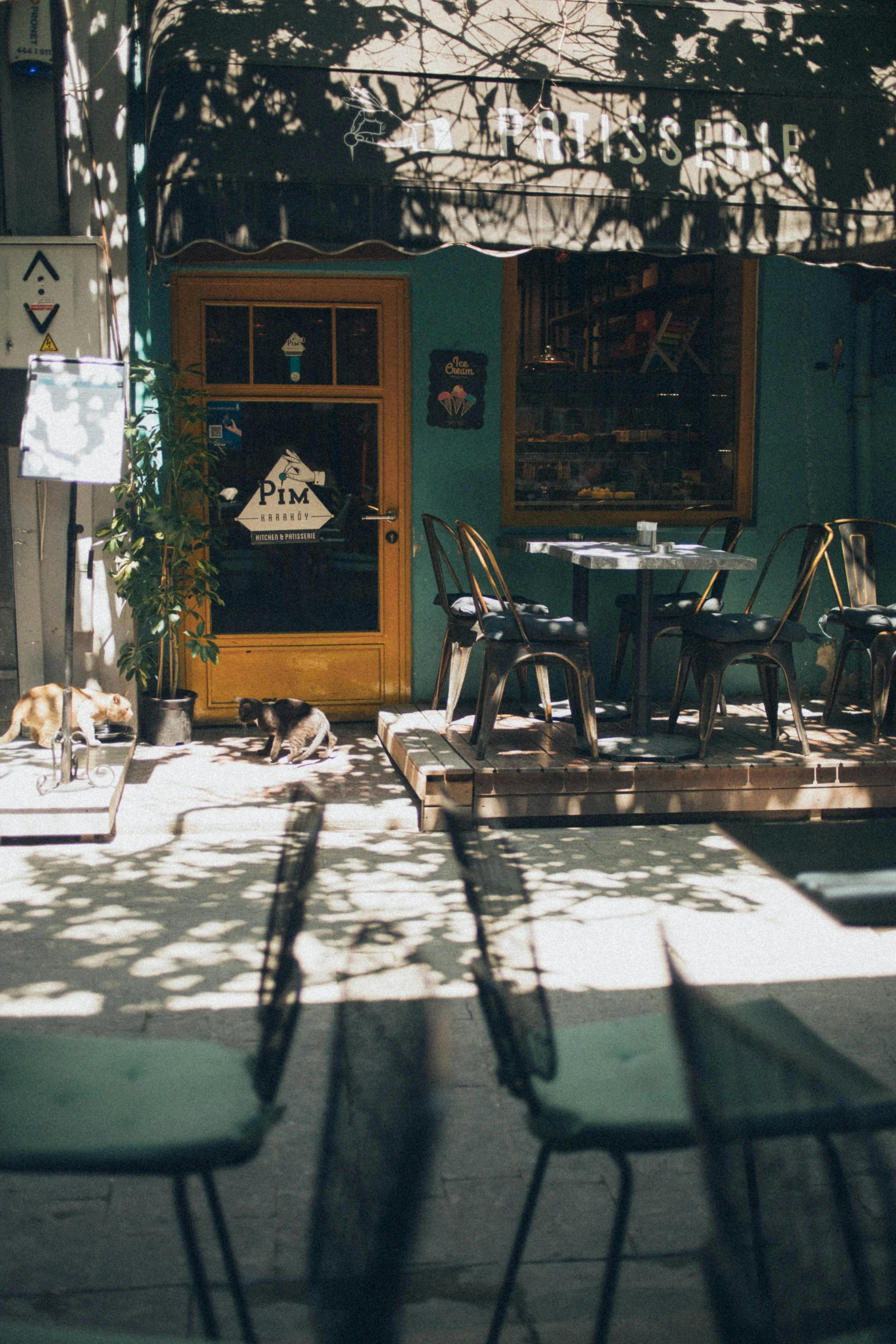 a group of chairs sitting on top of a sidewalk, a polaroid photo, unsplash, cat on the table, a multidimensional cozy tavern, teal aesthetic, soft sunlight dappling