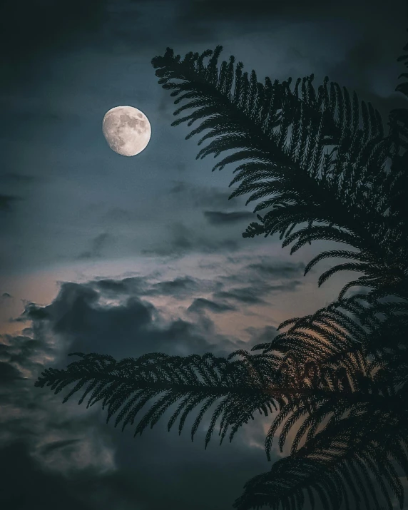 a full moon is seen through the clouds, an album cover, pexels contest winner, hurufiyya, palm, high quality photo, outdoor photo, grey