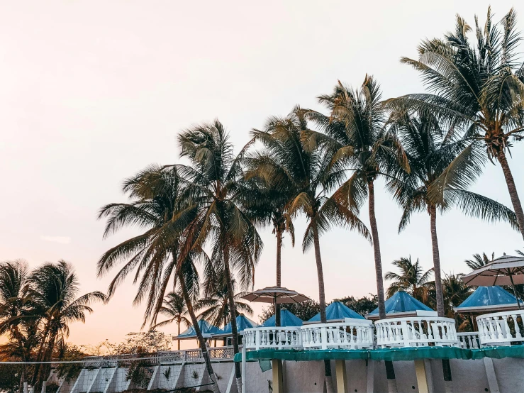 an empty swimming pool surrounded by palm trees, pexels contest winner, pastel sunset, beach bar, palms and miami buildings, teal sky