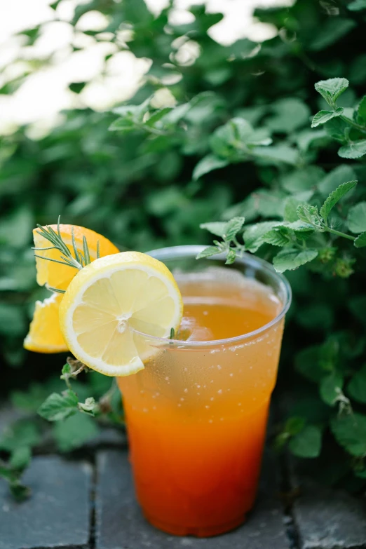 a drink sitting on top of a wooden table, yellow orange, ivy's, julia sarda, iced tea glass