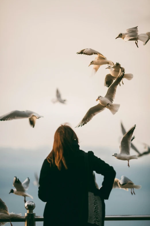 a woman standing in front of a flock of birds, pexels contest winner, looking out at the ocean, wings growing out of arms, feeds on everything, trending on vsco