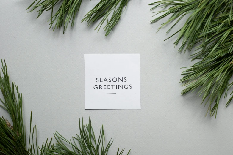 a piece of paper with the words seasons greetings on it, trending on unsplash, minimalistic aesthetics, background image, square sticker, alessio albi