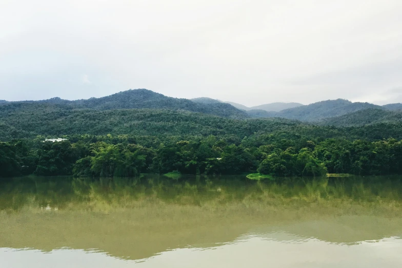 a body of water with mountains in the background, green jungle, sharandula, nature photo, multiple stories