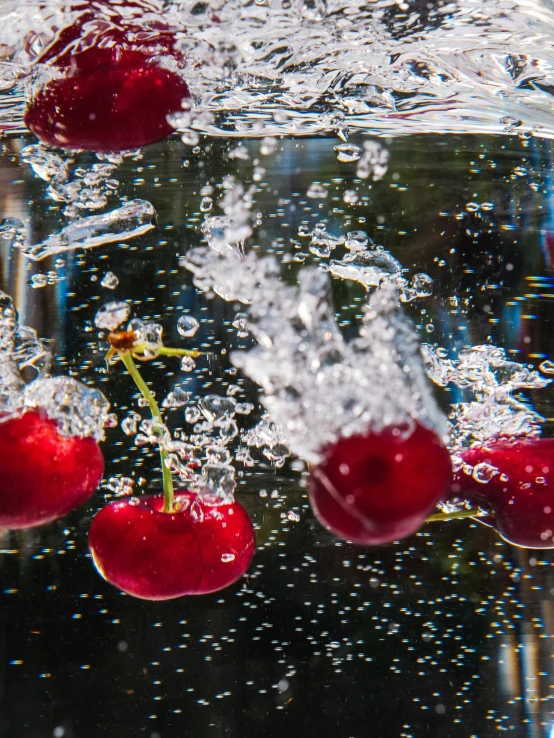 a group of cherries floating in a glass of water, by Cherryl Fountain, pexels, underwater bubbles, demur, giant cherry trees, 2 0 0 0's photo