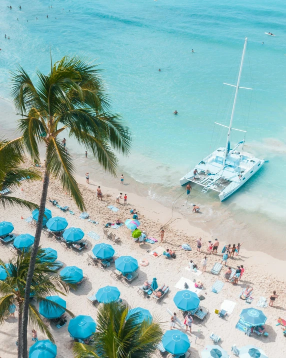 a beach filled with lots of people and blue umbrellas, a palm tree, sailboat, flatlay, hawaii