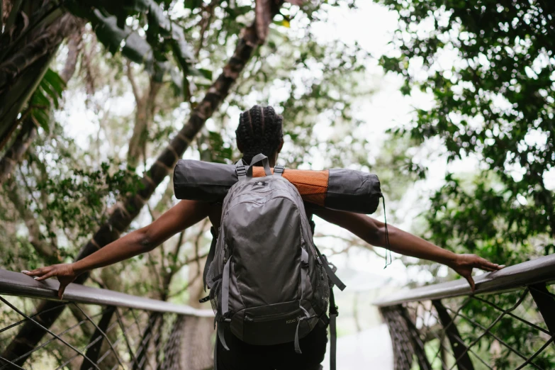 a woman with a backpack standing on a bridge, happening, canopy, adventuring gear, profile image, embrace the superego