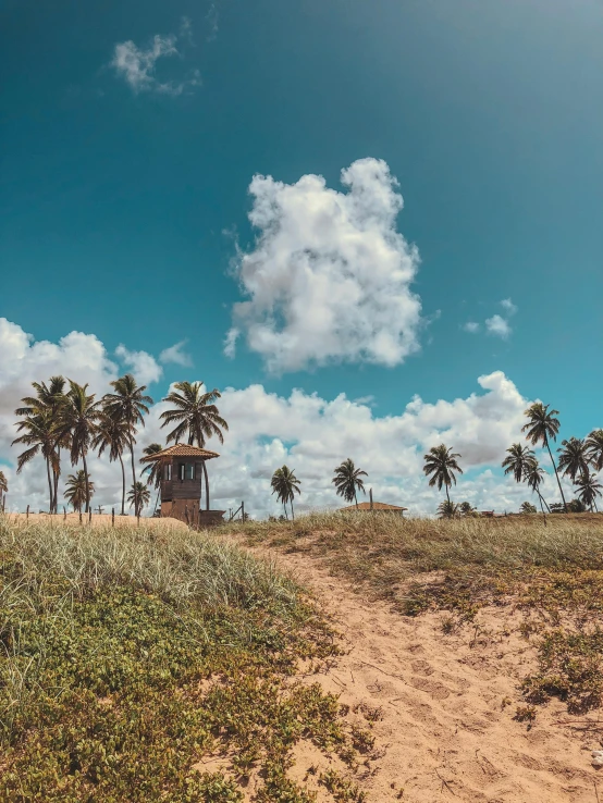 a sandy beach with palm trees on a sunny day, by Robbie Trevino, unsplash, lookout tower, brazilian, today\'s featured photograph 4k, multiple stories