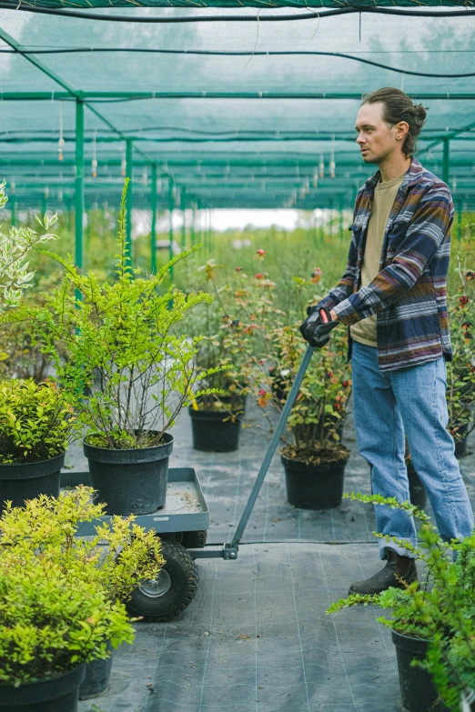 a man using a lawn mower in a greenhouse, a portrait, pexels contest winner, arbeitsrat für kunst, young male with walking stick, with soft bushes, multi-dimensional, thumbnail