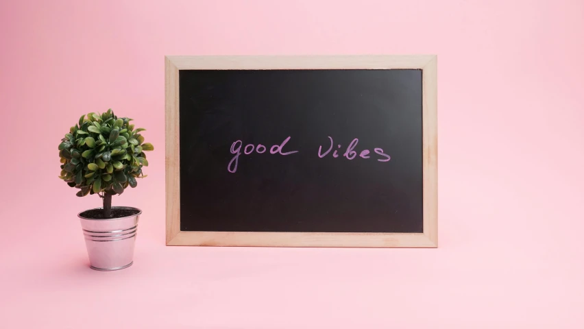 a small potted plant next to a blackboard with the word good vibes written on it, a picture, light pink background, detailed product image, front facing shot, panel of black