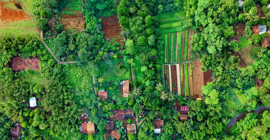 an aerial view of a village surrounded by trees, by Daniel Lieske, rows of lush crops, lush green deep forest, flatlay, ecovillage