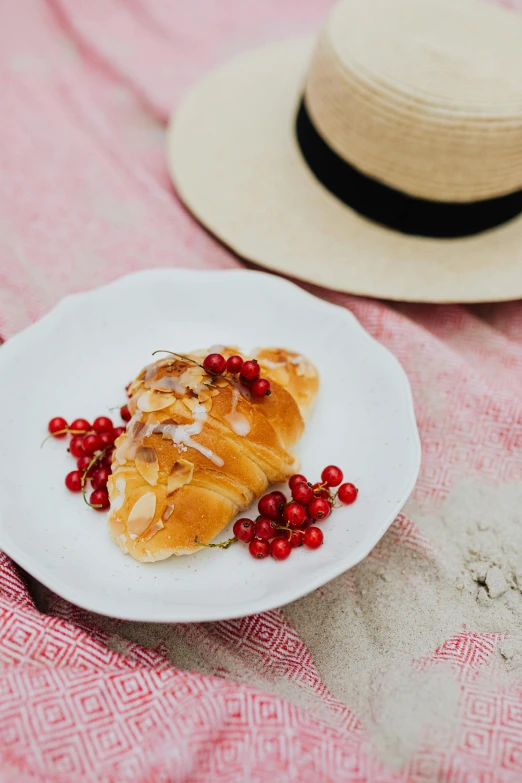 a white plate topped with cranberries next to a straw hat, by Julia Pishtar, romanticism, dog eating croissants in paris, on the beach, midsommar - t, salmon