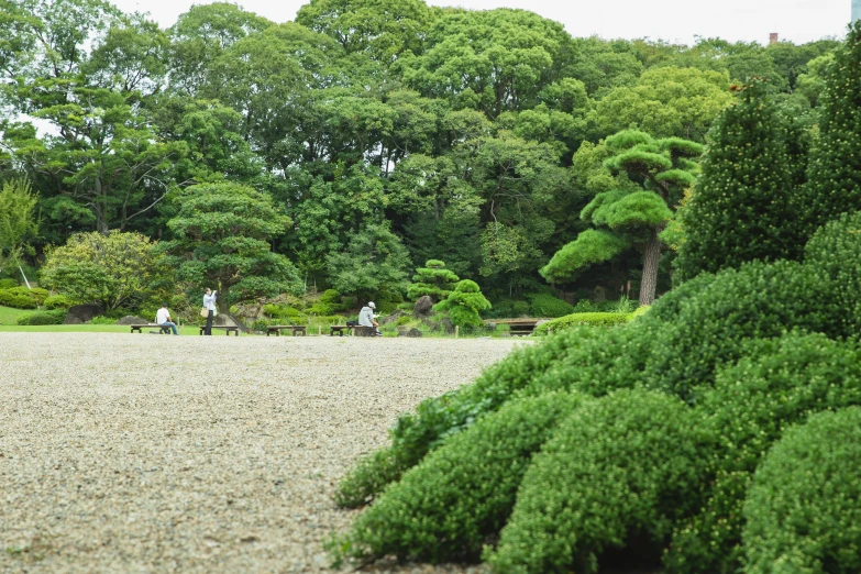 a group of people walking through a lush green park, inspired by Sesshū Tōyō, unsplash, sōsaku hanga, maritime pine, seen from afar, zen sand carved lawn, sitting in tokyo