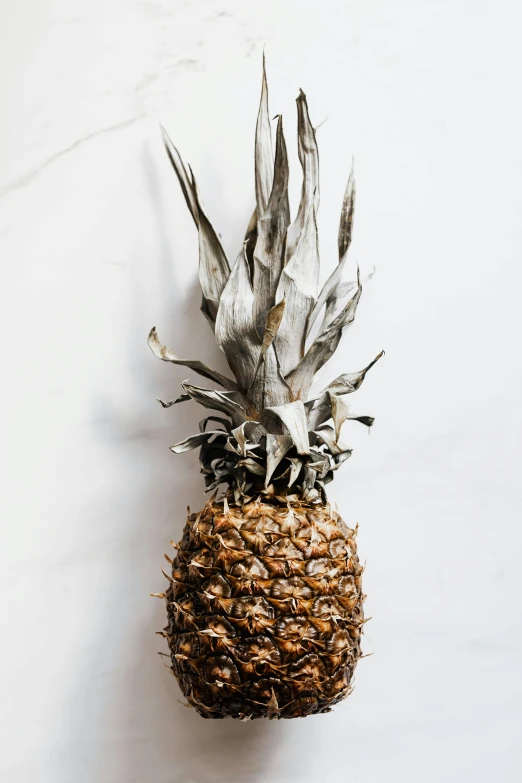 a close up of a pineapple on a table, inspired by Patrick Pietropoli, trending on unsplash, renaissance, with a white background, gray mottled skin, tall, foil