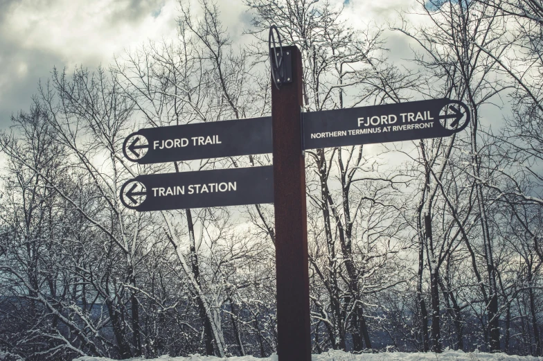 a couple of street signs sitting on top of a snow covered ground, by Roar Kjernstad, train far, foot path, avatar image, desaturated