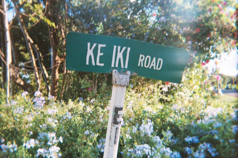 a green street sign sitting on the side of a road, an album cover, by Jeka Kemp, kahikatea, scanned in, tourist destination, kai'sa