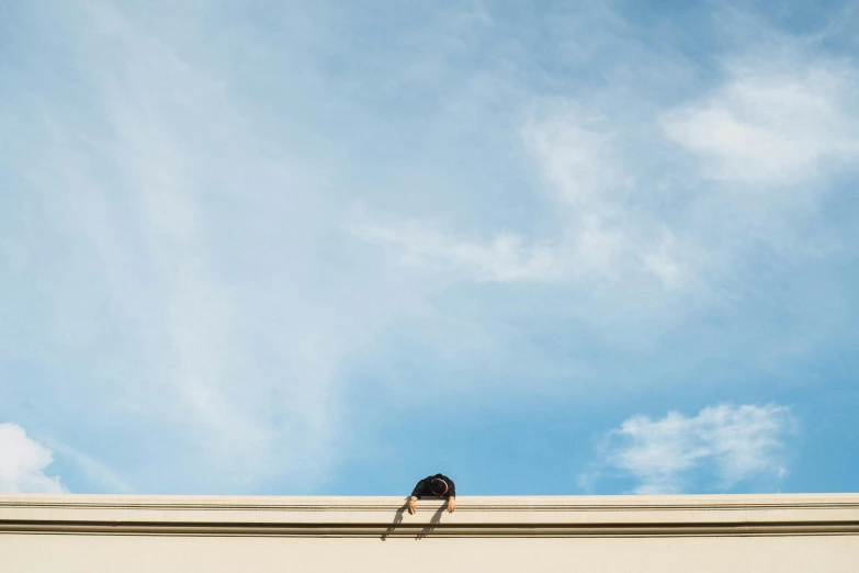 a bird perched on the side of a building, by Tobias Stimmer, unsplash, postminimalism, william eggleston, black roof, summer sky, lying on an abstract