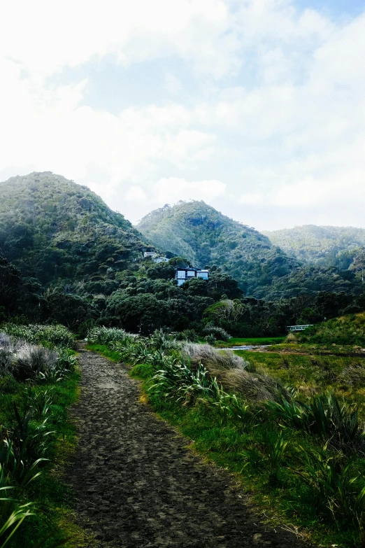 a dirt path in the middle of a lush green field, inspired by Hasegawa Tōhaku, unsplash, hills and ocean, rivendell, wellington, dojo on a mountain