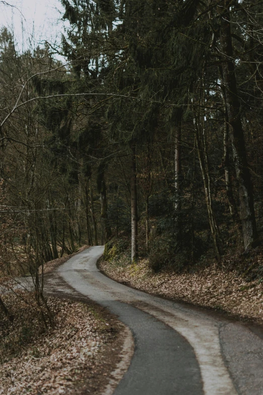 a winding road in the middle of a forest, a photo, by Adam Szentpétery, renaissance, half - turn, brown, grey, black