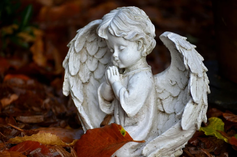 a statue of an angel praying in the leaves, pixabay contest winner, 15081959 21121991 01012000 4k, child, 2019 trending photo, with beautiful wings