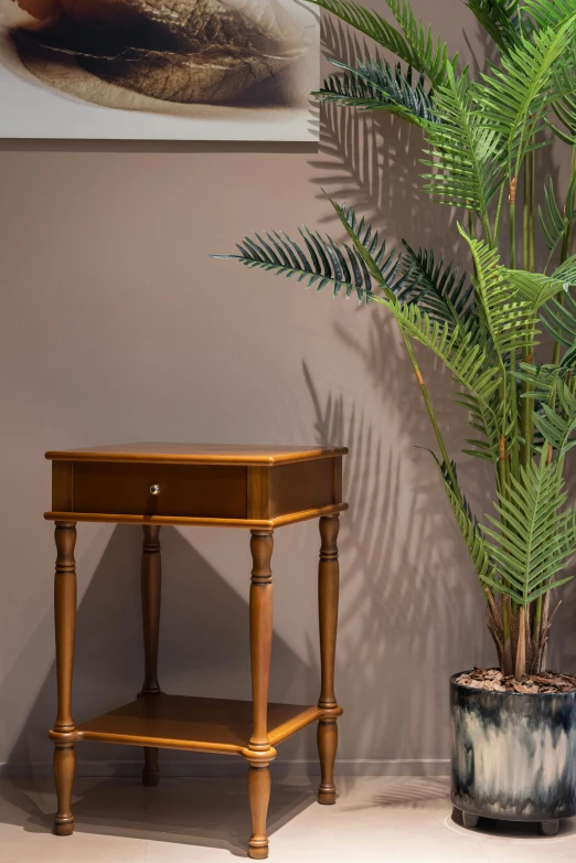 a potted plant sitting on top of a wooden table, on display, small chest, high quality image, lots de details