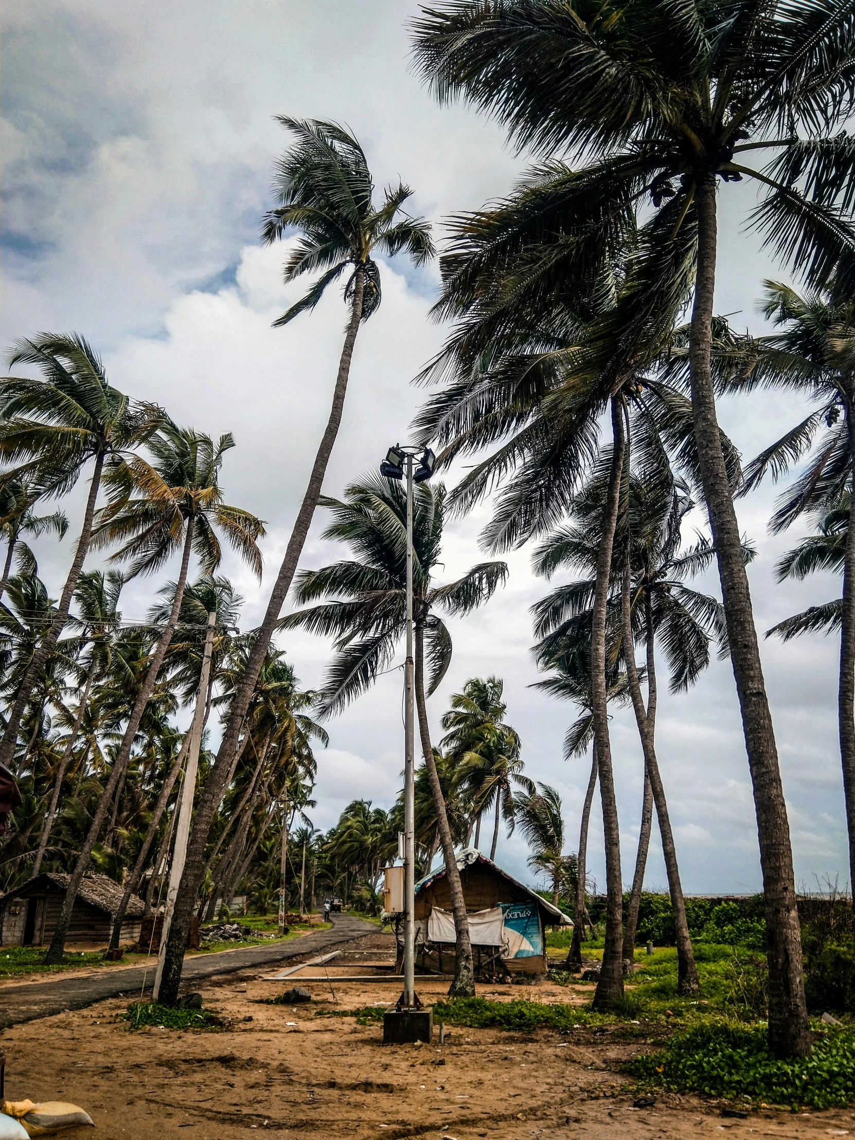 a truck driving down a dirt road next to palm trees, hurufiyya, sri lankan mad max style, windy beach, damaged structures, a tall tree