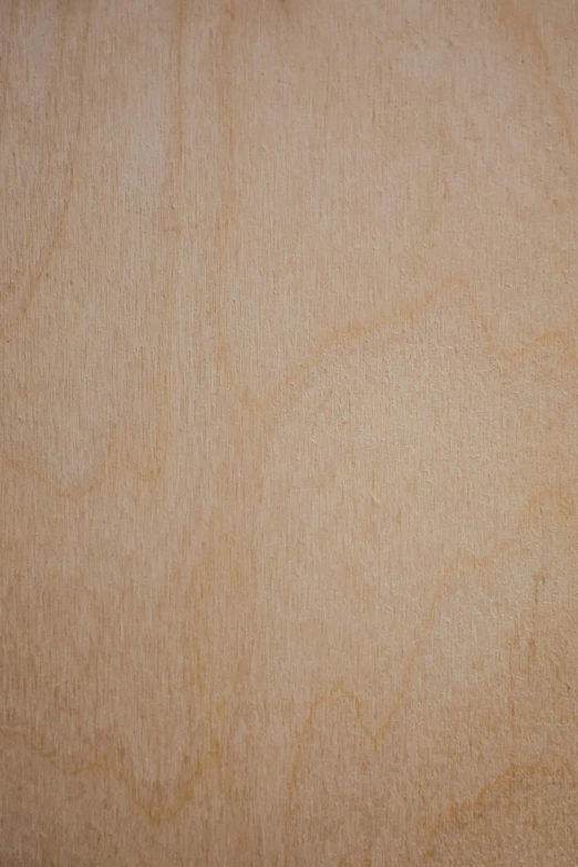 a close up of a piece of wood on a table, detailed product image, orange: 0.5, detail shot, birch