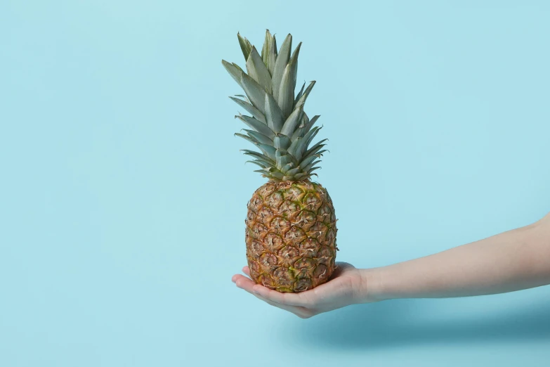 a person holding a pineapple in their hand, an album cover, inspired by Elsa Bleda, unsplash, pale blue, ultra hi resolution picture, super wide, view from the side