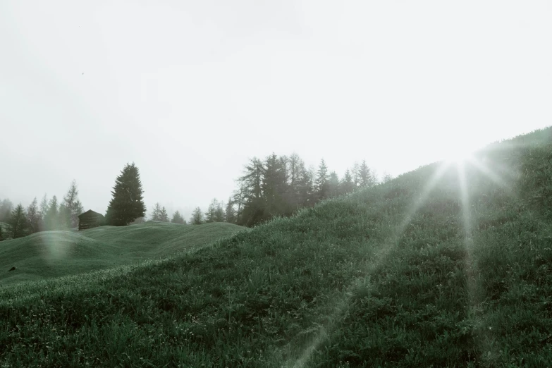 a red fire hydrant sitting on top of a lush green hillside, a black and white photo, by Karl Buesgen, unsplash, hazy sun and mystical, spruce trees, on a green hill, during dawn