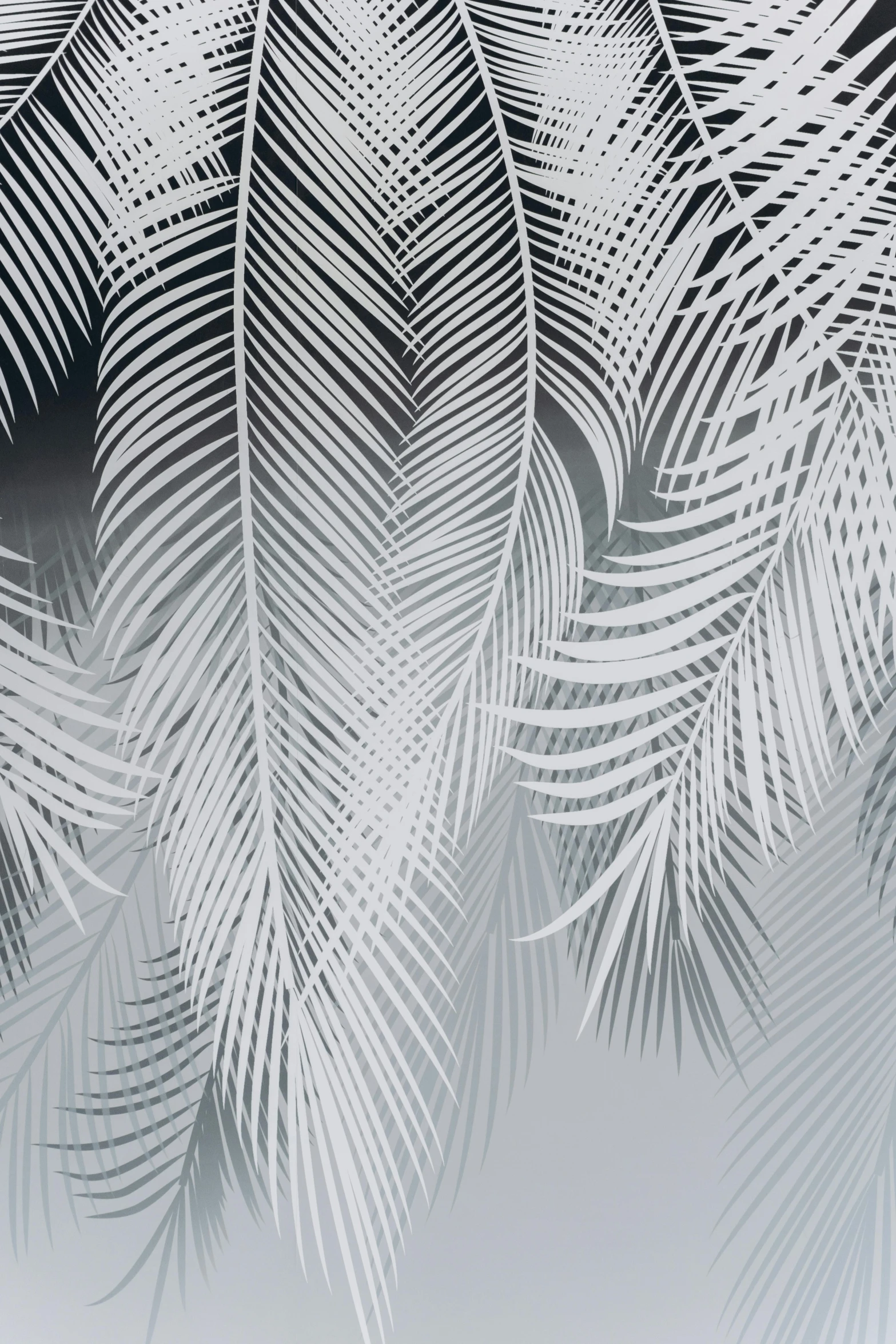 a frosty window with leaves on it, a black and white photo, pexels contest winner, tropical palms, gradient and patterns wallpaper, stylized illustration, festivals