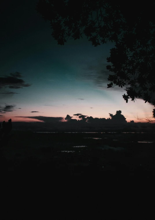 a couple of people standing on top of a lush green field, inspired by Elsa Bleda, unsplash contest winner, silhouette over sunset, ☁🌪🌙👩🏾, humid evening, panorama