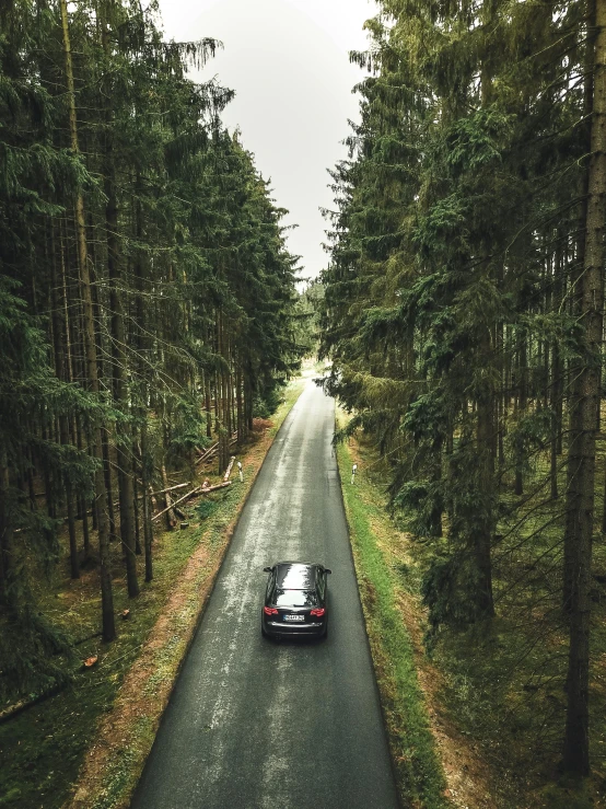 a car driving down a road in the middle of a forest