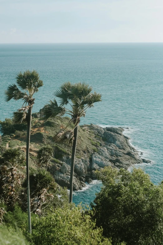 a couple of palm trees sitting on top of a lush green hillside, inspired by Elsa Bleda, trending on unsplash, sparkling cove, thailand, view of sea, high quality picture