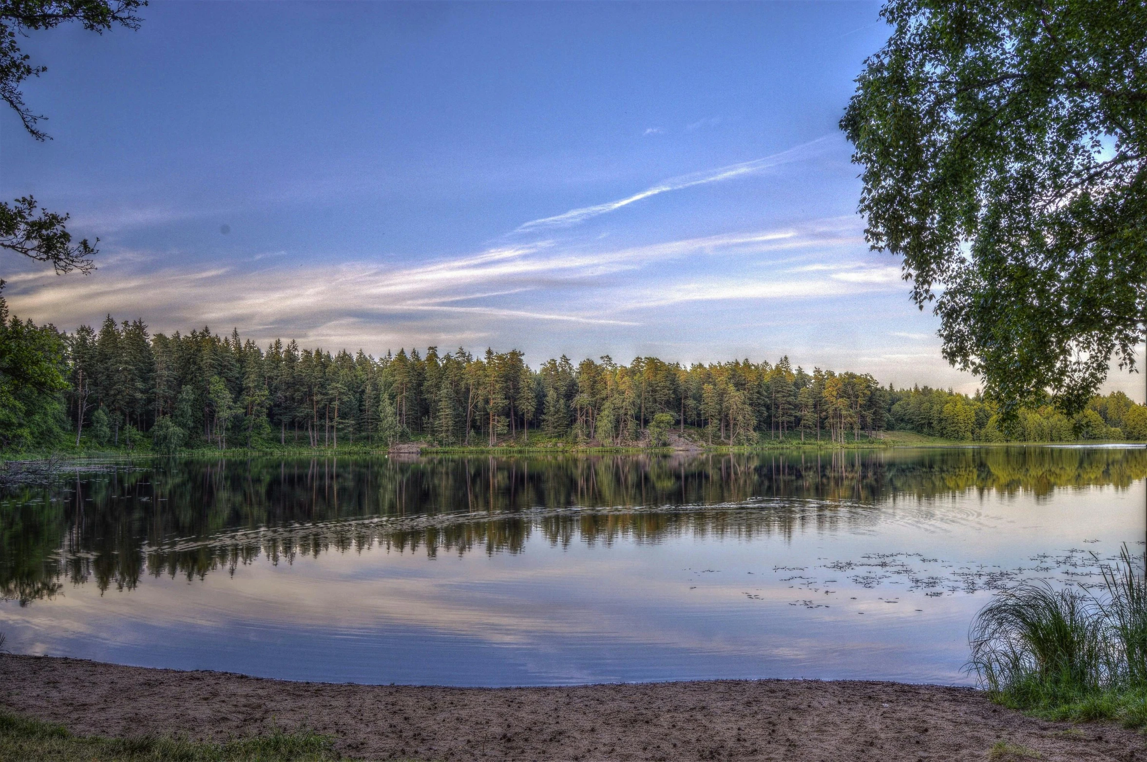a large body of water surrounded by trees, by Grytė Pintukaitė, pexels contest winner, hurufiyya, summer evening, tarmo juhola, hot summer day, historical photo