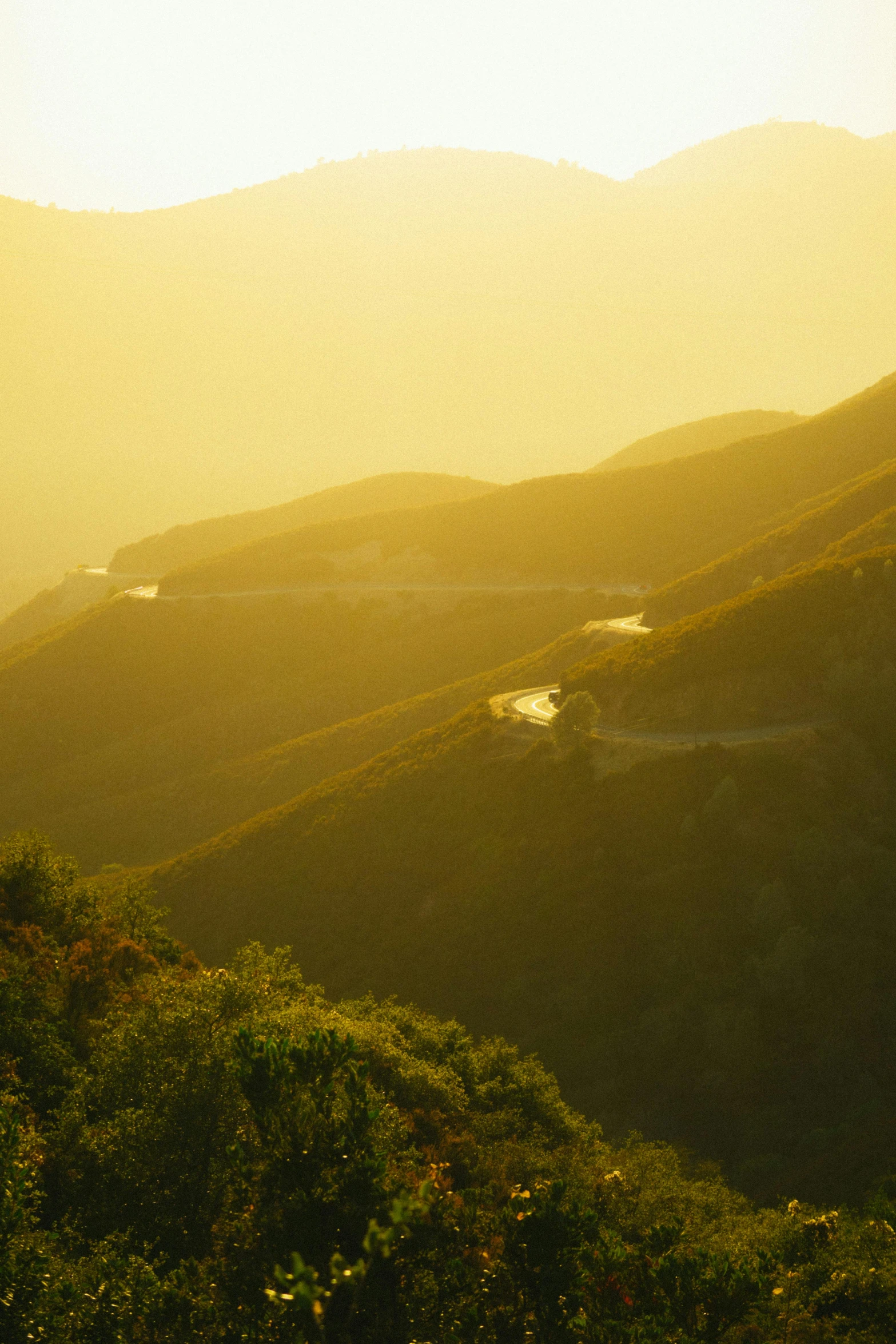 a man standing on top of a lush green hillside, by Daniel Seghers, unsplash contest winner, golden hour in beijing, road between hills, hearst castle, yellow tint