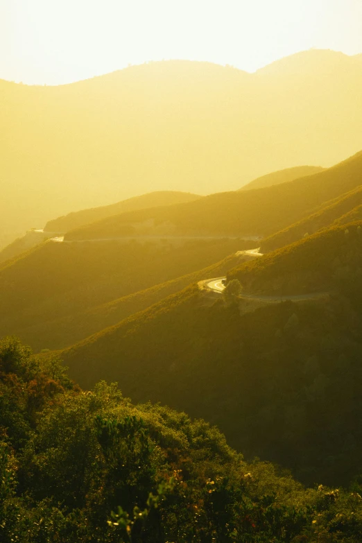 a man standing on top of a lush green hillside, by Daniel Seghers, unsplash contest winner, golden hour in beijing, road between hills, hearst castle, yellow tint