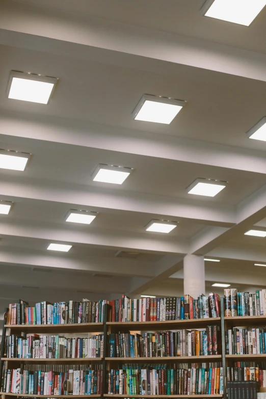 a bookshelf filled with lots of books in a library, reddit, light and space, fluorescent ceiling lights, square, no - text no - logo, skylights