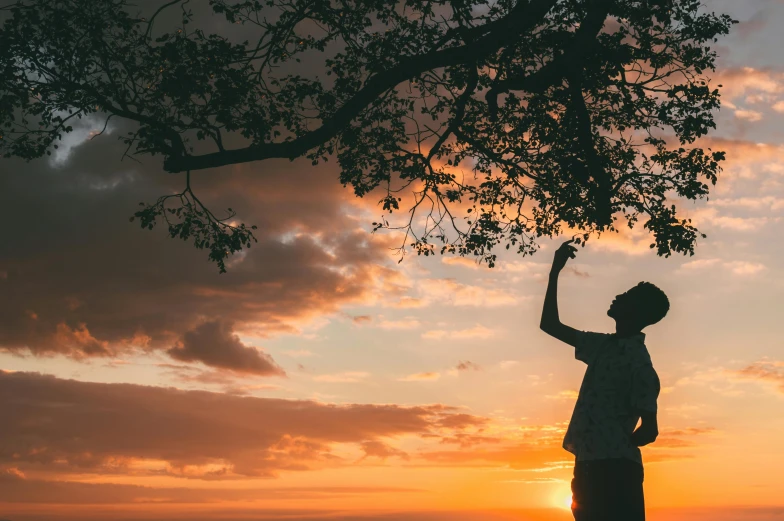 a silhouette of a person reaching up to a tree, pexels contest winner, gorgeous romantic sunset, standing sideways, instagram post, full width