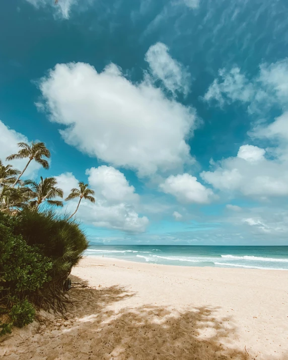 a sandy beach with palm trees and a blue sky, pexels contest winner, renaissance, kauai, thumbnail, flatlay, multiple stories
