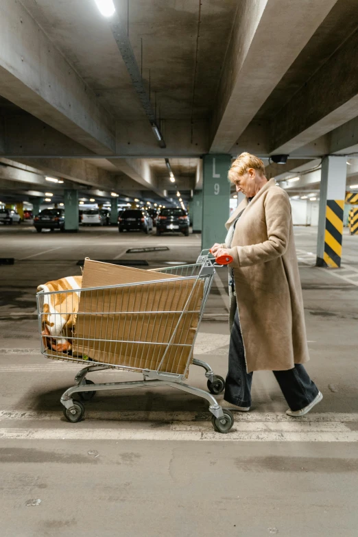 a woman pushing a shopping cart in a parking garage, by Oskar Lüthy, unsplash, hyperrealism, elderly, cardboard, helsinki, square