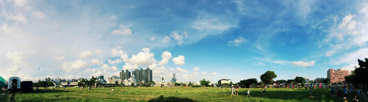 a group of people standing on top of a lush green field, kites, manila, clear blue skies, city views