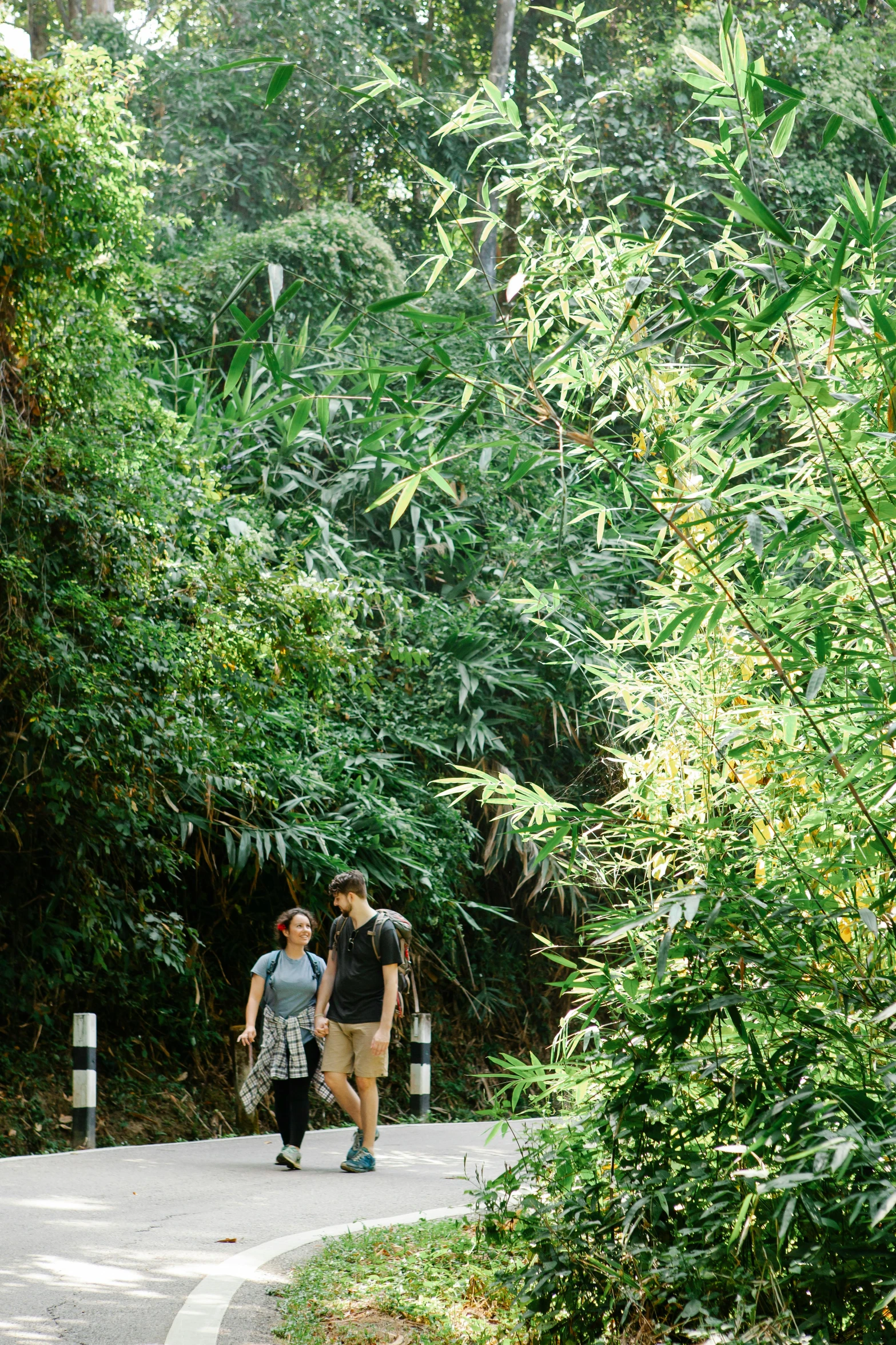 a couple of people that are walking down a road, sumatraism, in a bamboo forest, lush garden, well shaded