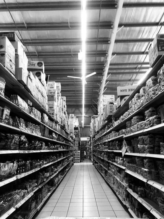 a black and white photo of a grocery store aisle, by Adam Rex, cinematic. by leng jun, tri - x pan stock, shot on an iphone, lights on