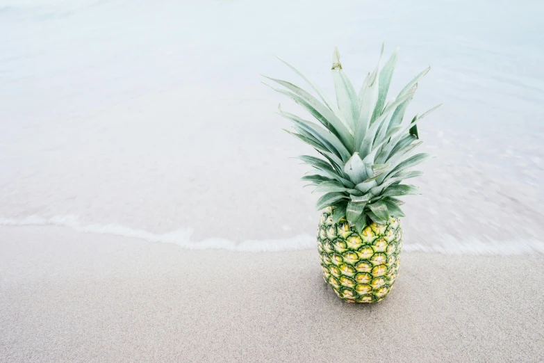 a pineapple sitting on top of a sandy beach, on the ocean