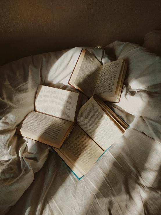 a couple of books laying on top of a bed, pexels contest winner, happening, bathed in light, brown, julia sarda, multiple stories
