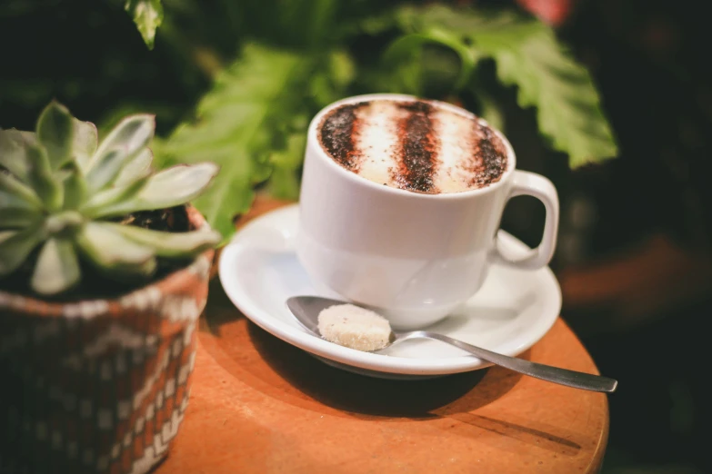 a cup of coffee sitting on top of a saucer, pexels contest winner, sitting on a mocha-colored table, gardening, aussie baristas, vanilla